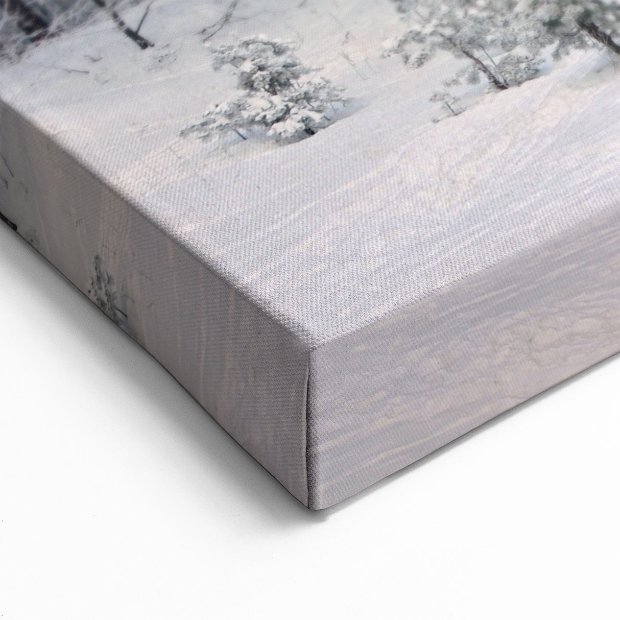 Latvia Canvas Prints - Snowy Baltic Forest in Winter Wonderland