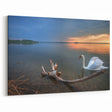 Latvia Scenery Prints - Tranquil Swan Lake at Sunset Baltic Wall Art