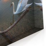 Latvia Scenery Prints - Tranquil Swan Lake at Sunset Baltic Wall Art
