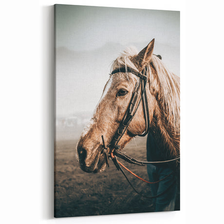 Vintage Farmhouse Horse Wall Art - Rustic Country Style Farmhouse Decor