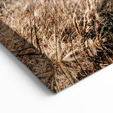 Rustic Farmhouse Buffalo Grazing Wall Art - Country Style Decor