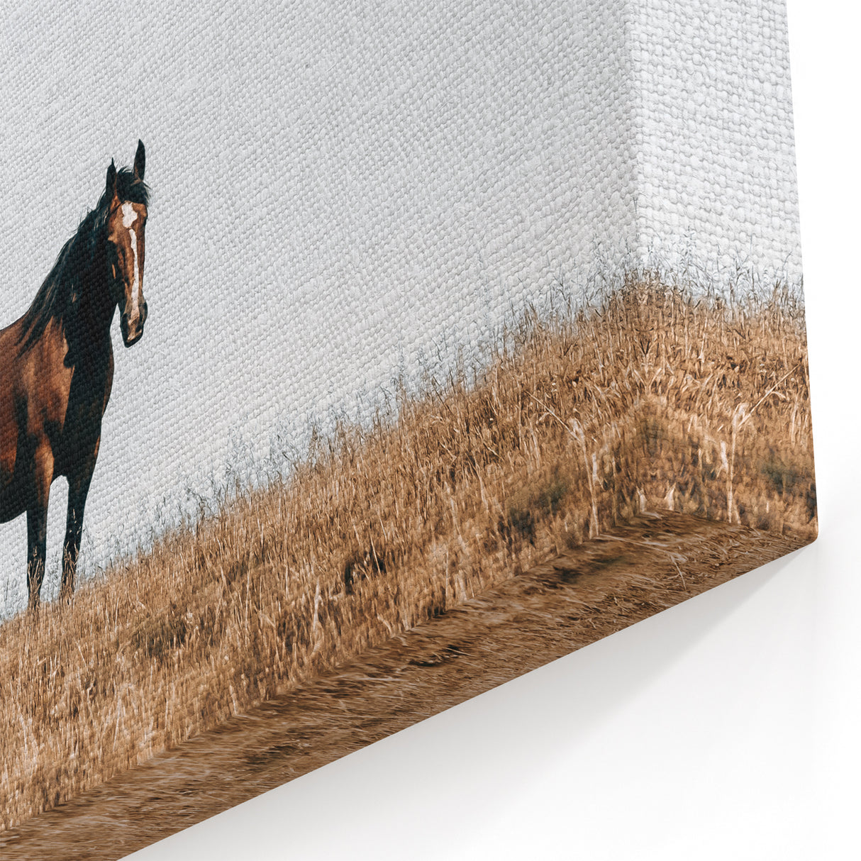 Rustic Horse in Meadow Farmhouse Wall Art – Country Style Decor