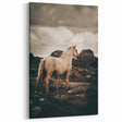 Rustic Horse in Rocky Landscape Farmhouse Wall Art – Country Style Decor