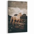 Rustic Horse in Rocky Landscape Farmhouse Wall Art – Country Style Decor