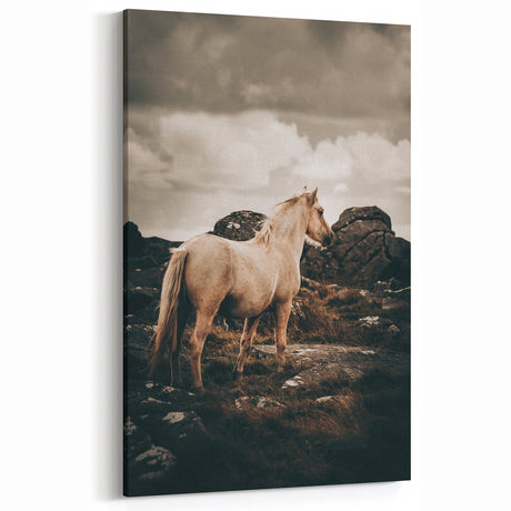 Rustic Horse in Rocky Landscape Farmhouse Wall Art – Country Style Decor