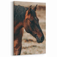 Rustic Horse Close-Up Farmhouse Wall Art – Country Style Decor