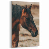 Rustic Horse Close-Up Farmhouse Wall Art – Country Style Decor