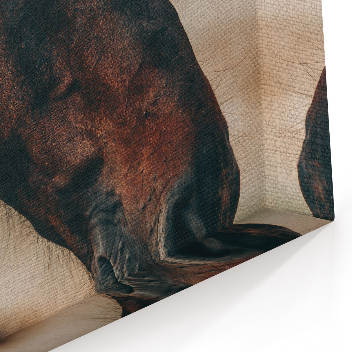 Rustic Horse Close-Up Farmhouse Wall Art – Country Style Decor
