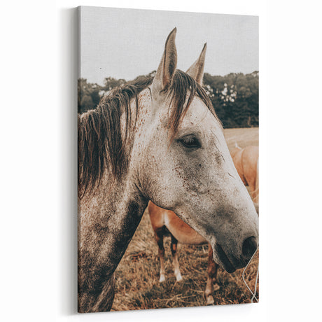 Rustic Horse Close-Up Farmhouse Wall Art – Vintage Country Style Decor