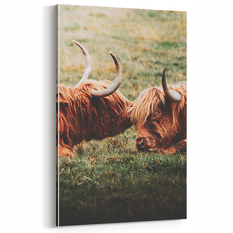 Highland Cattle Close-up Art, Rustic Farmhouse Wall Decor