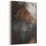 Delicate Dried Plant Art, Tranquil Rustic Wall Decor Print