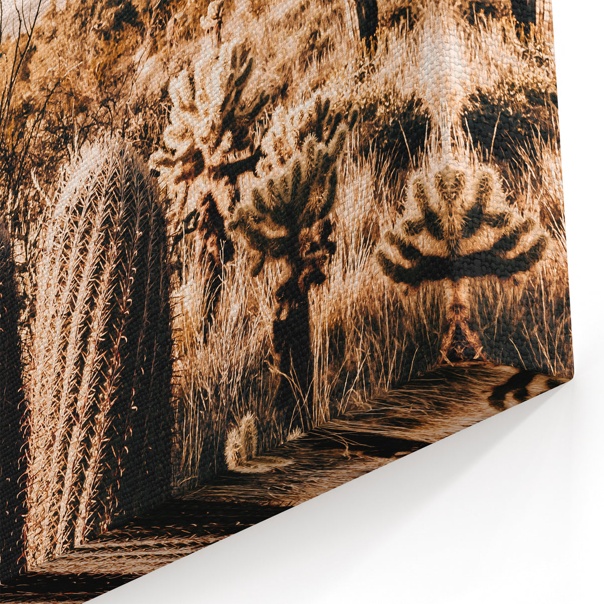 Rustic Farmhouse Wall Art - Desert Cacti Landscape | Country Style Decor