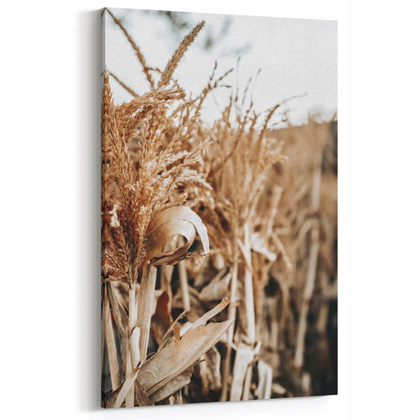 Rustic Farmhouse Wall Art of Harvested Corn – Vintage Country Style Decor