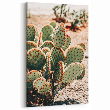 Rustic Farmhouse Wall Art of Cactus – Vintage Country Style Decor
