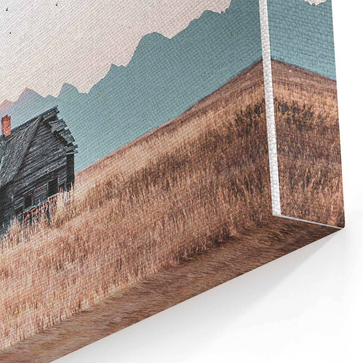 Farmhouse Wall Art of Abandoned Cabin with Birds – Rustic Country Decor