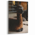 Rustic Farmhouse Wall Art: Adorable Alpaca in Barn Setting