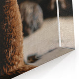 Rustic Farmhouse Wall Art: Adorable Alpaca in Barn Setting