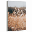 Sunlit Grass Field Farmhouse Wall Art – Rustic Country Style Decor