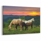 Kentucky Horses at Sunset Art – Scenic Wall Decor for Horse Lovers