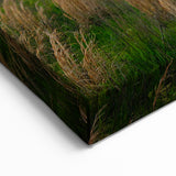 Kentucky Horses Evening Sky Art – Scenic Wall Decor for Nature Lovers