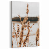 Farmhouse Wall Art – Rustic Wheat Field Close-Up – Country Style Decor