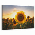 Sunflower Kansas Wall Art – Scenic Kansas Landscape Canvas Prints