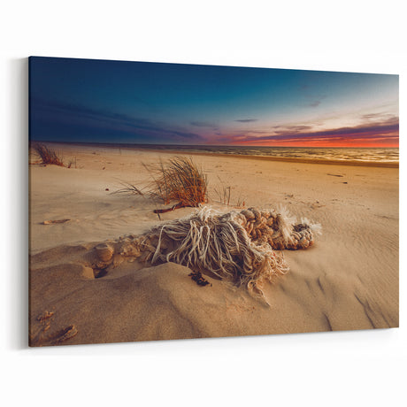Baltic Region Art - Quiet Baltic Sea Beach with Rope and Grass
