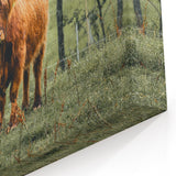Farmhouse Wall Art – Highland Cow in Lush Field – Rustic Country Decor