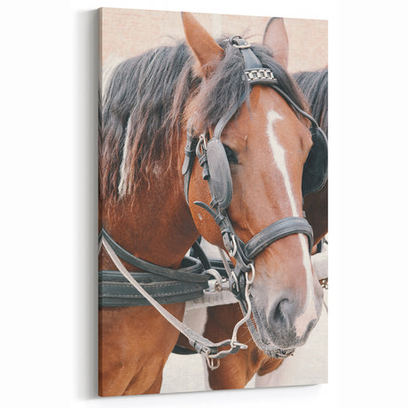 Country Horse Portrait Art - Rustic Farmhouse Wall Decor Print