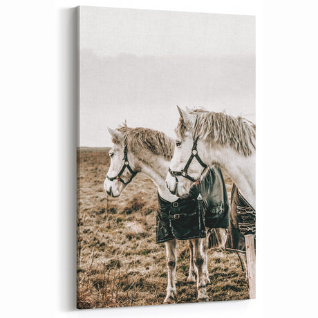 Charming Horse Duo Art - Rustic Farmhouse Wall Decor Print