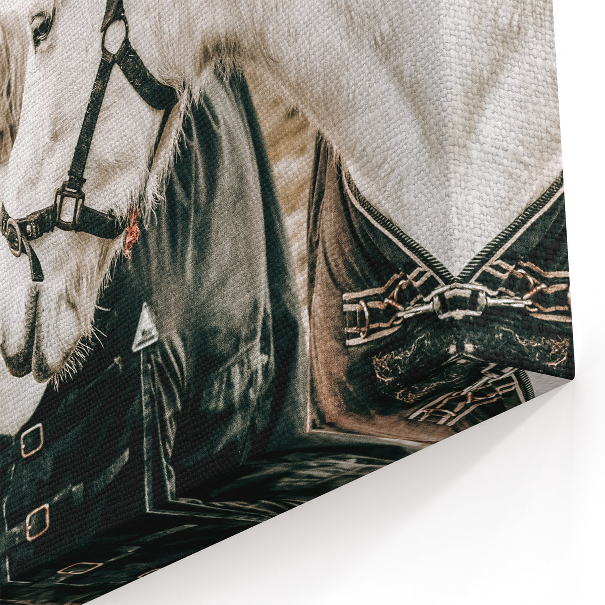 Charming Horse Duo Art - Rustic Farmhouse Wall Decor Print