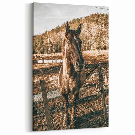 Rustic Farmhouse Horse Portrait - Vintage Country Style Wall Decor Print