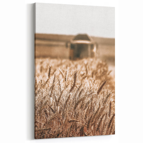Golden Wheat Field Art - Rustic Farmhouse Wall Decor Print