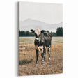 Majestic Cow in Pasture - Rustic Farmhouse Wall Art Print