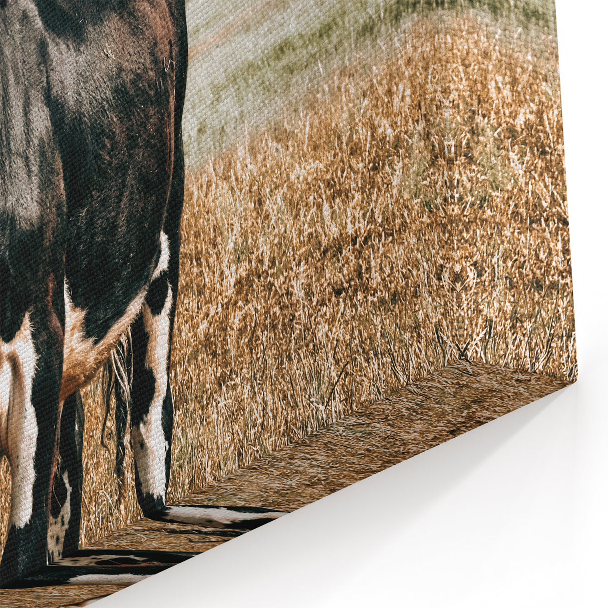 Majestic Cow in Pasture - Rustic Farmhouse Wall Art Print