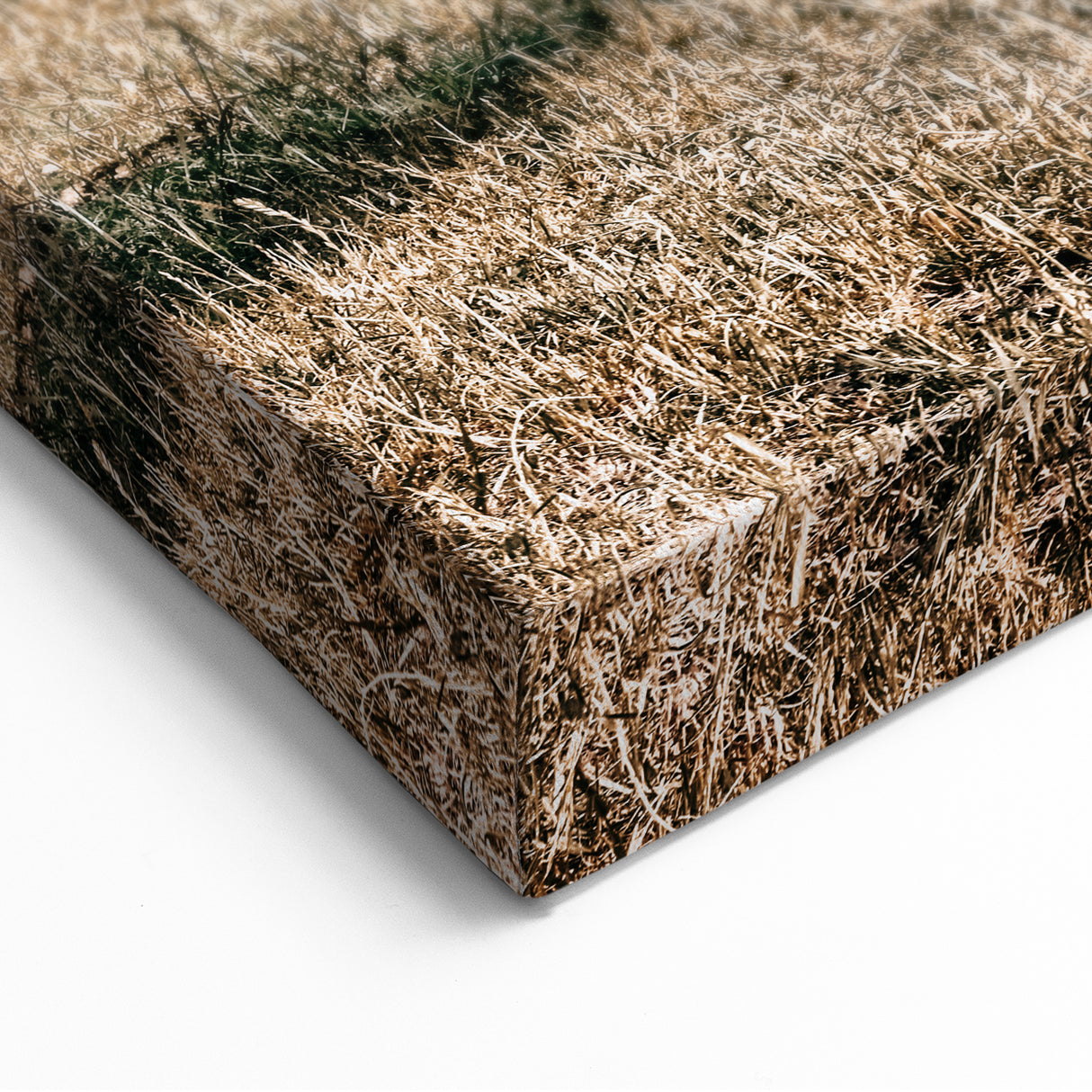 Majestic Cow in Pasture - Rustic Farmhouse Wall Art Print