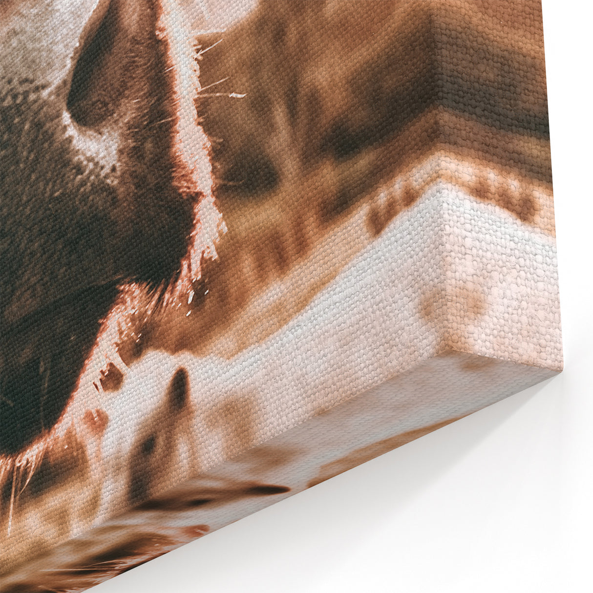 Charming Close-Up Cow - Rustic Farmhouse Wall Art Decor
