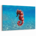 Mediterranean Sea Wall Art - Vibrant Seahorse Underwater Canvas