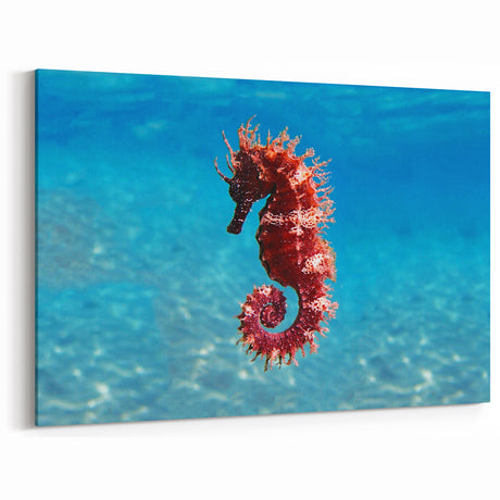 Mediterranean Sea Wall Art - Vibrant Seahorse Underwater Canvas