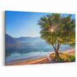 Scenic Montenegro Prints - Coastal Tree with Mountain View Serenity