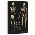 Dark Academia Wall Art: Skeleton Family in Shadows, Gothic Print