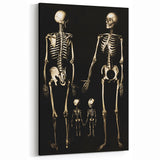 Dark Academia Wall Art: Skeleton Family in Shadows, Gothic Print