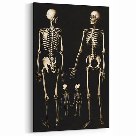 Dark Academia Wall Art: Skeleton Family in Shadows, Gothic Print
