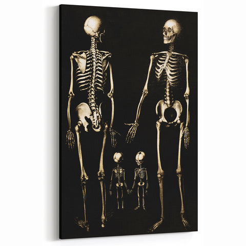 Dark Academia Wall Art: Skeleton Family in Shadows, Gothic Print