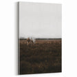 Serene White Horse - Rustic Landscape Wall Art
