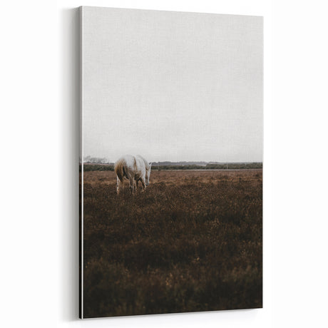 Serene White Horse - Rustic Landscape Wall Art