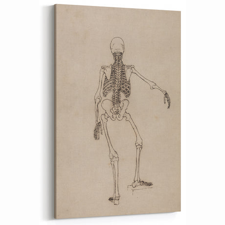 Gothic Wall Art | Skeleton Study Sketch | Vintage Gothic Decor Print