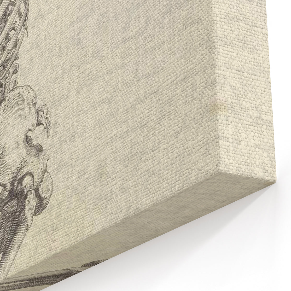 Gothic Wall Art | Medieval Gothic Canvas with Skeleton Illustration