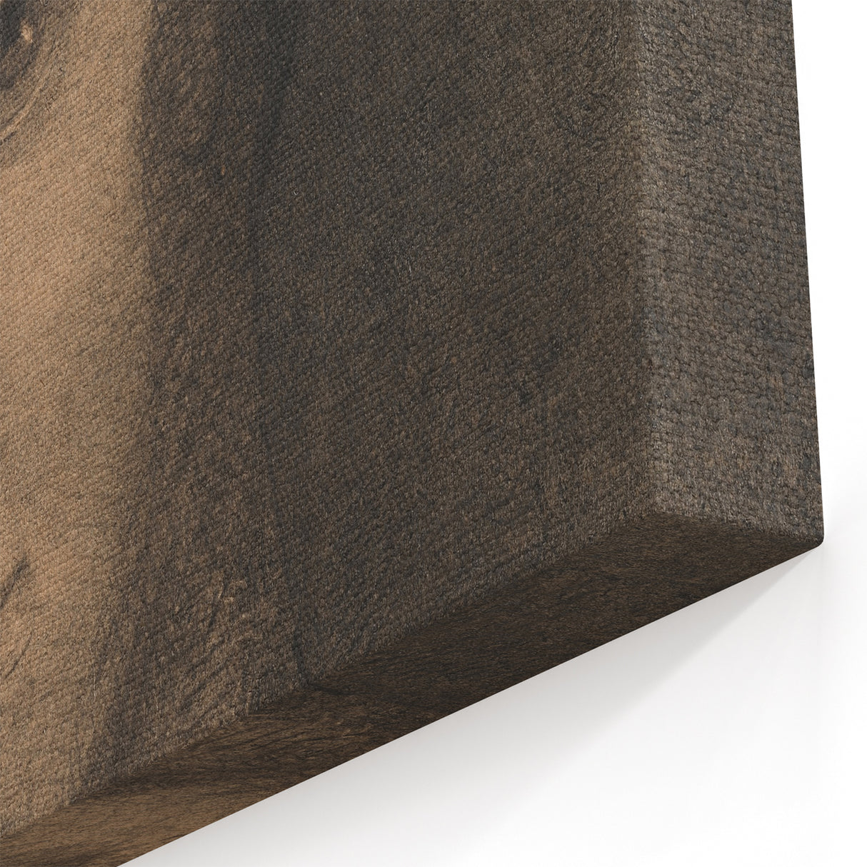 Gothic Artworks: Mysterious Portrait of a Medieval Figure in Dark Tones