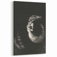 Gothic Wall Art: Dark Ram Skull in Vintage Gothic Print Design